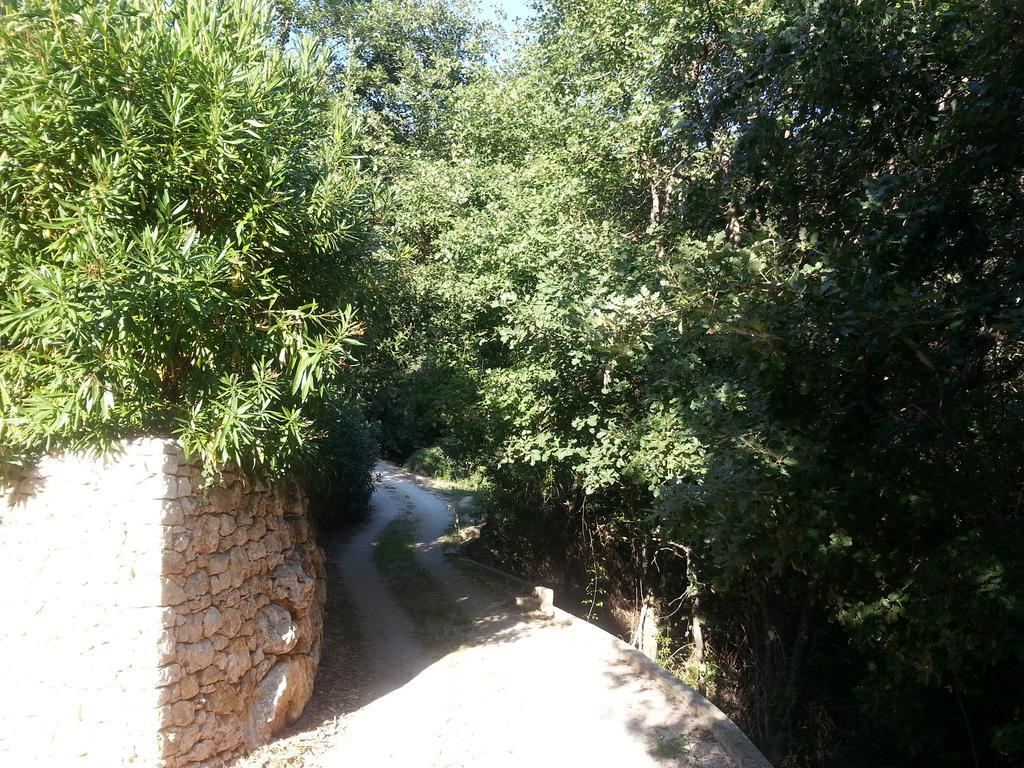 Spacious Dream Villa Near Monaco Roquebrune-Cap-Martin Eksteriør bilde